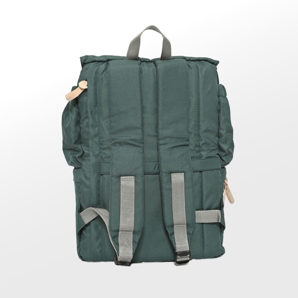 All Day Pro - WP Forest Green